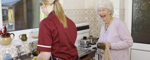 Homemaker-Services Homemaker-Services